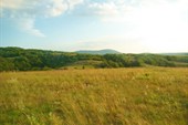 Караби